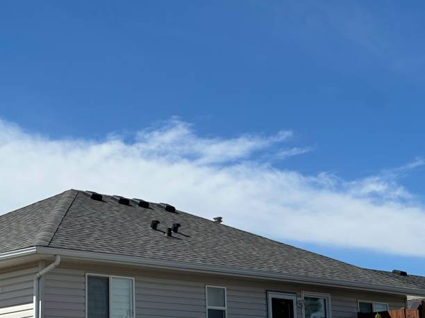 Best Rubber Roofing (EPDM, TPO)  in Florida, NY